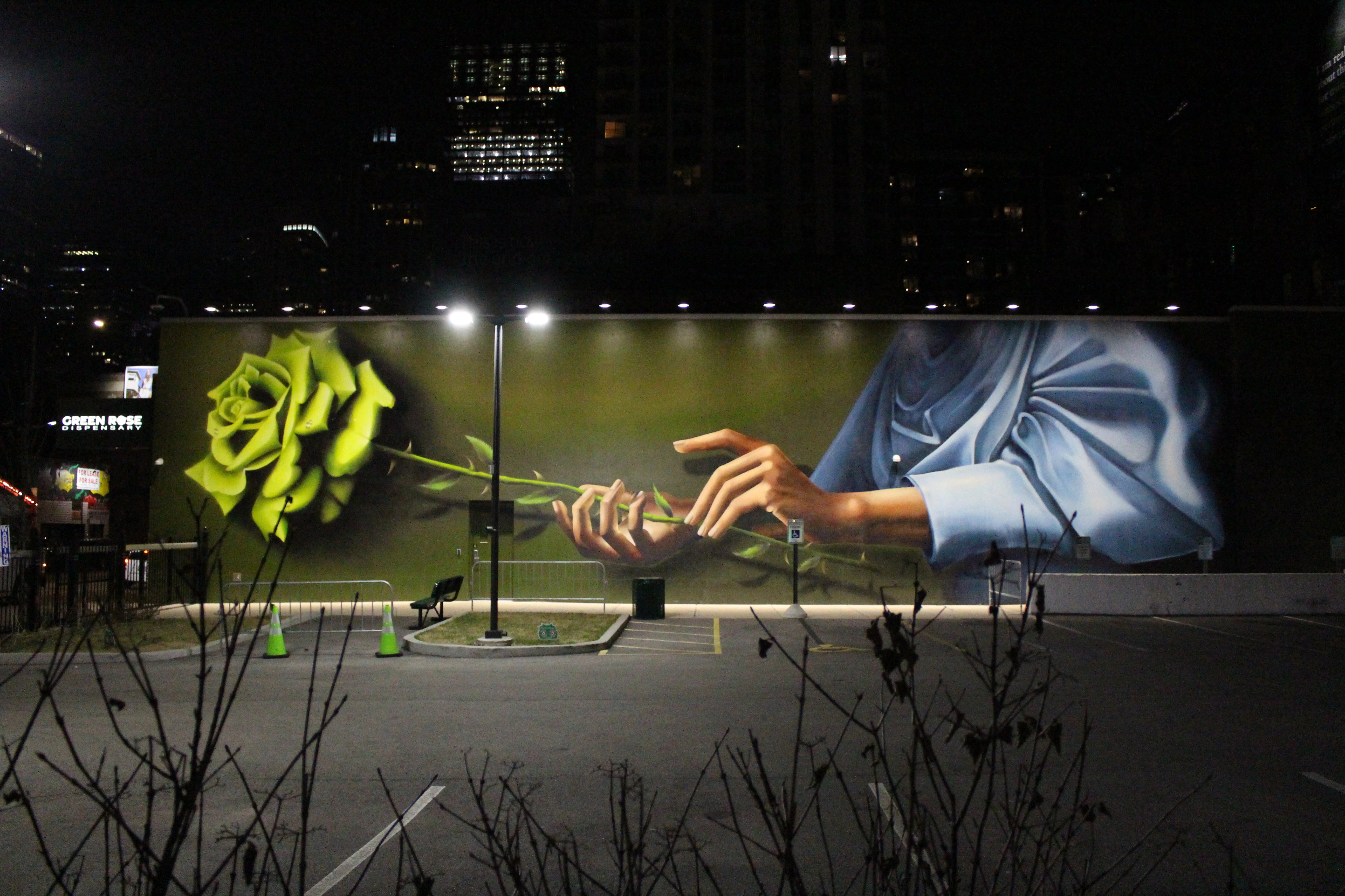 A floodlit mural over a hundred feet wide, a hand extending an enormous chartreuse rose across a dark green wall, an empty parking lot and bare winter branches in front.