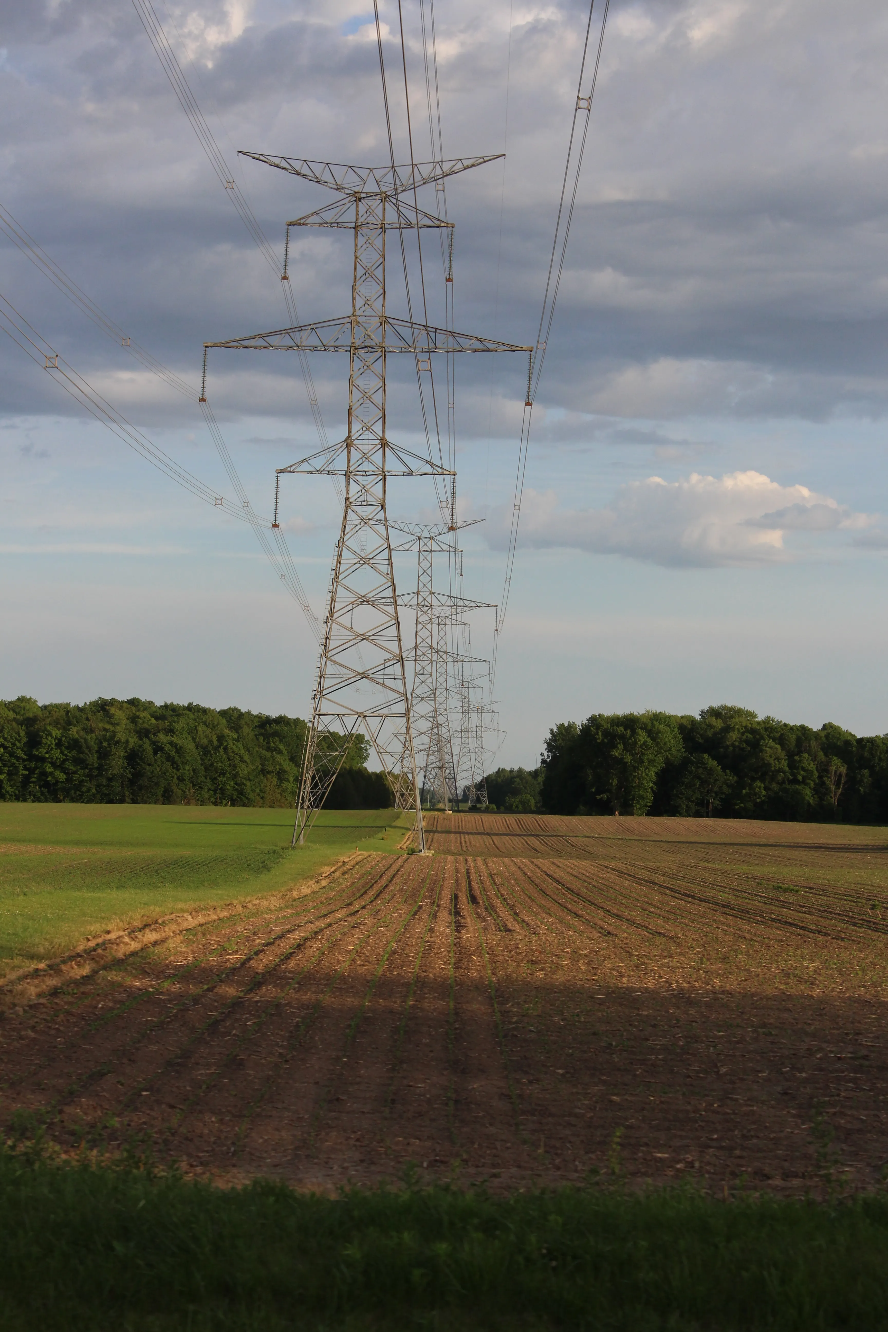 A steel transmission tower marching across farmland, lines strung toward the horizon.