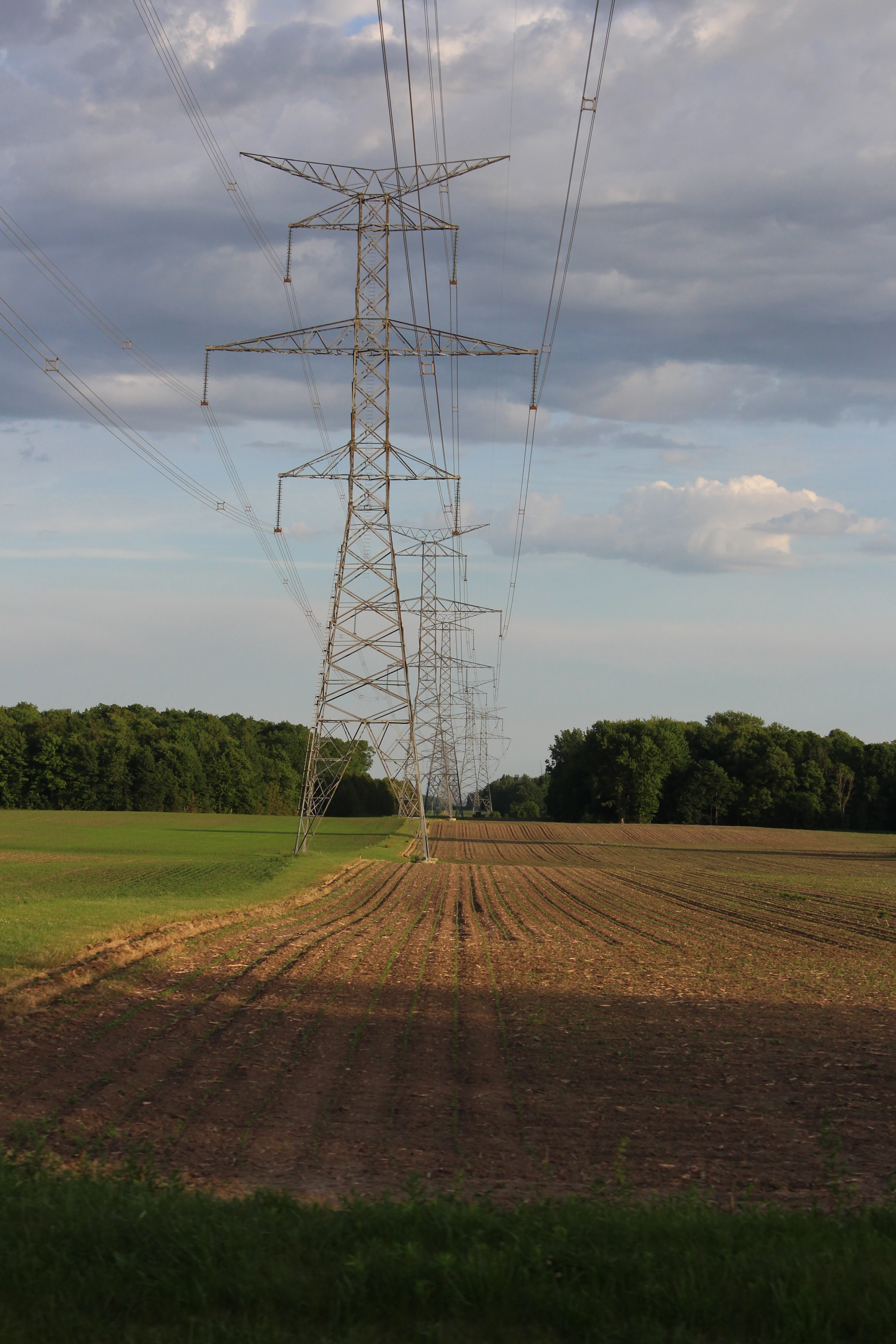 A steel transmission tower marching across farmland, lines strung toward the horizon.