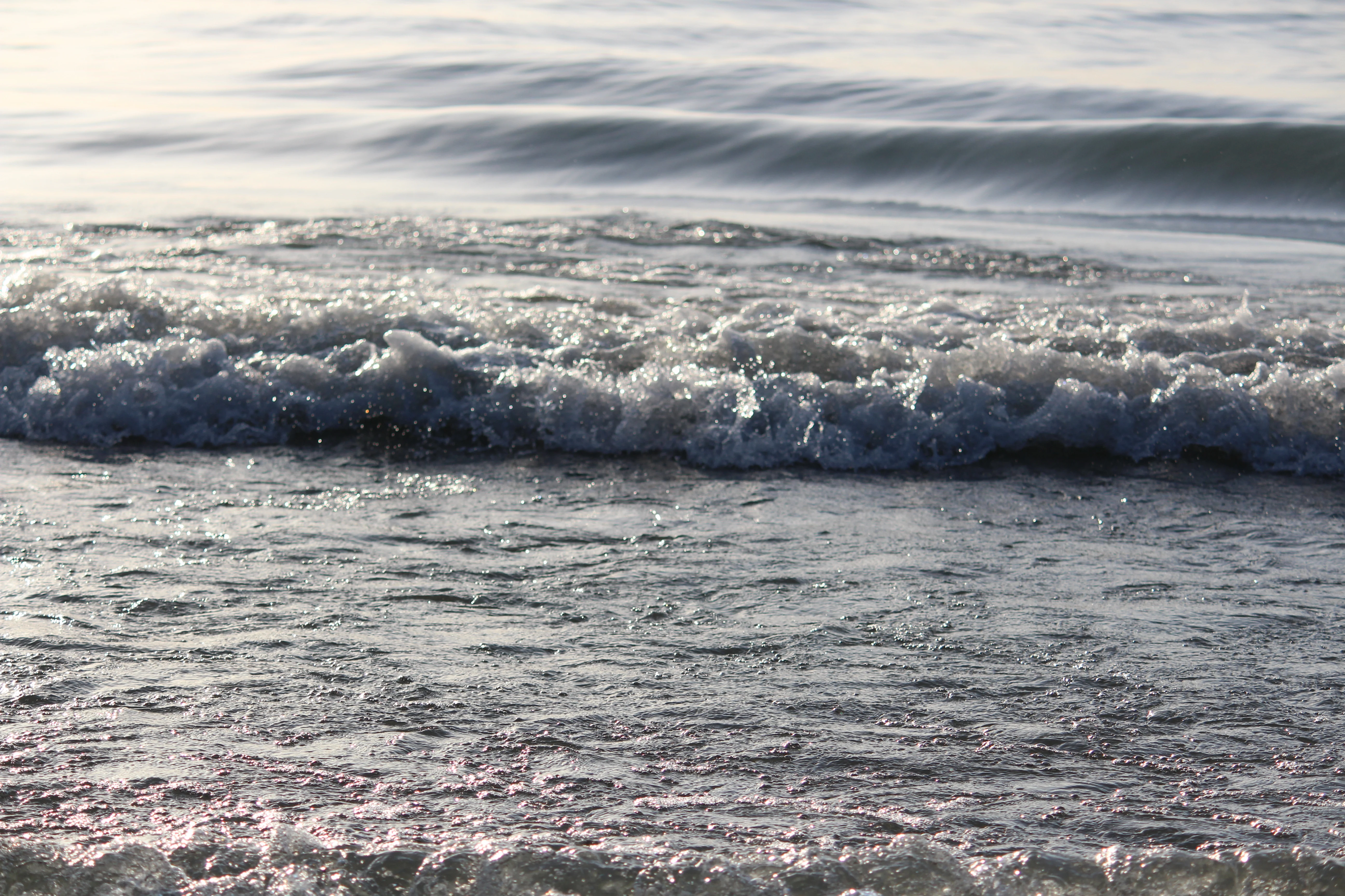 A wave breaking into foam at the shoreline, backlit by low sun on the water.