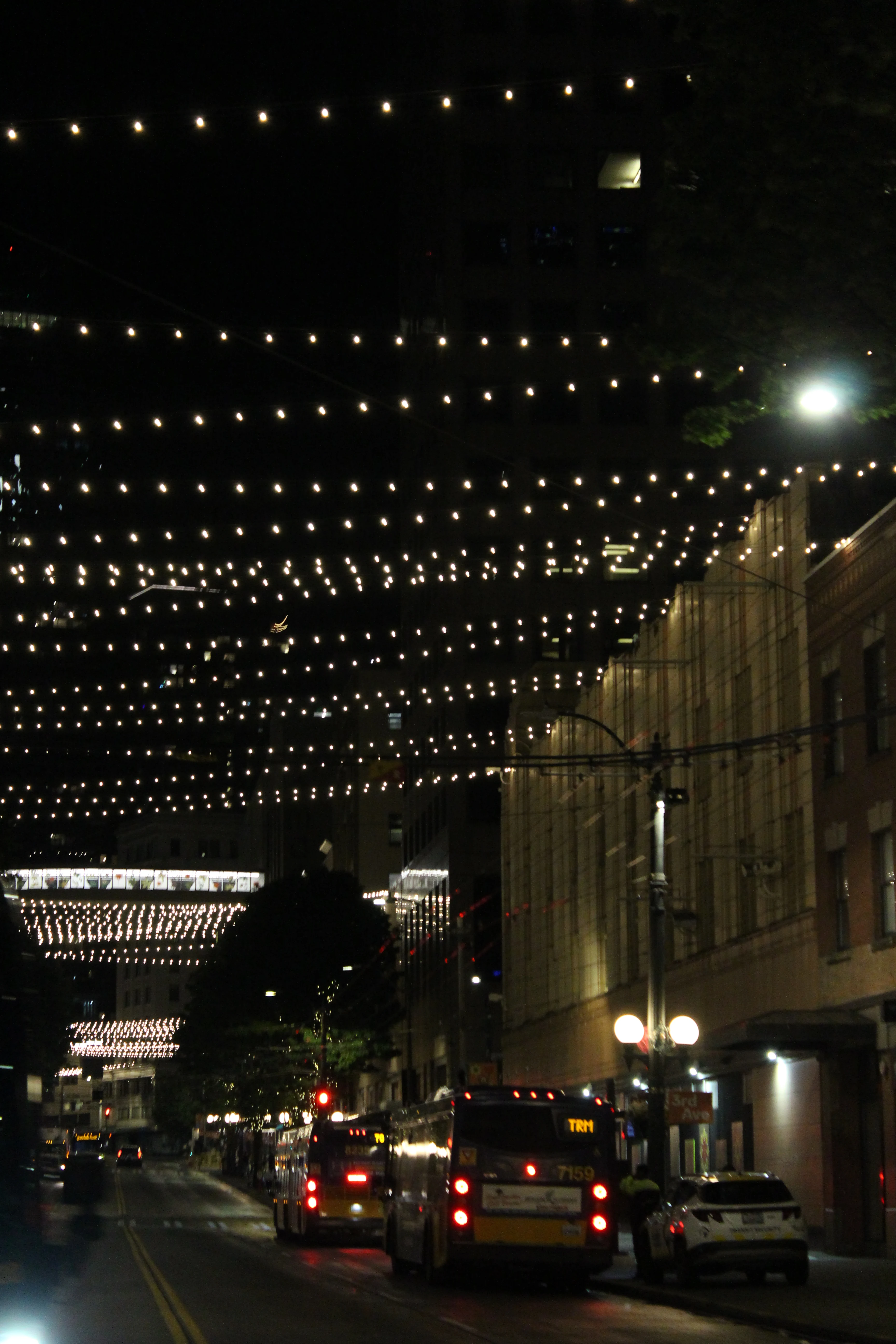 A downtown avenue at night beside a tower draped in a full curtain of white lights, a city bus waiting at the curb.