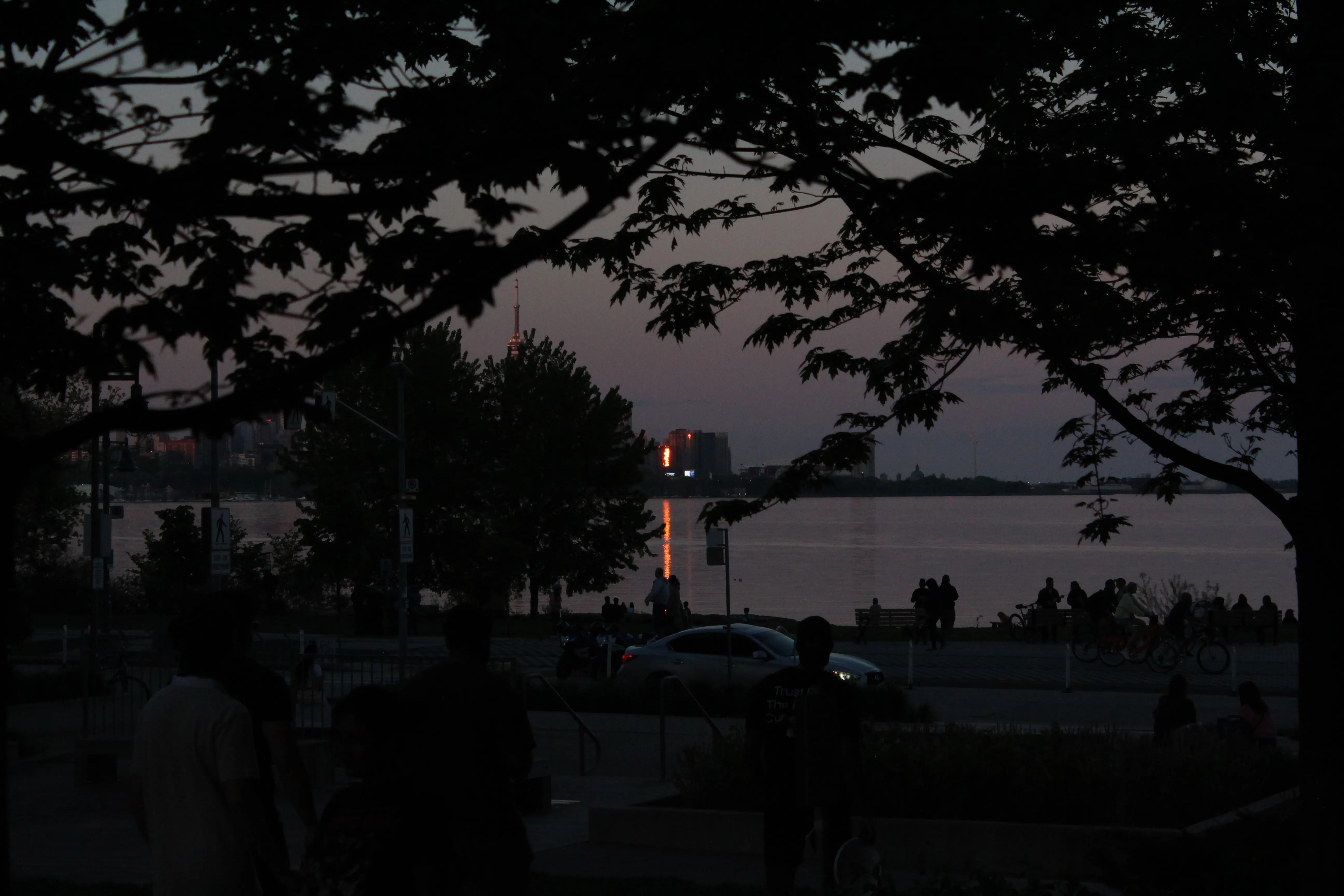 Toronto skyline seen through silhouetted trees at dusk, the sun reflecting off a distant tower onto the water.