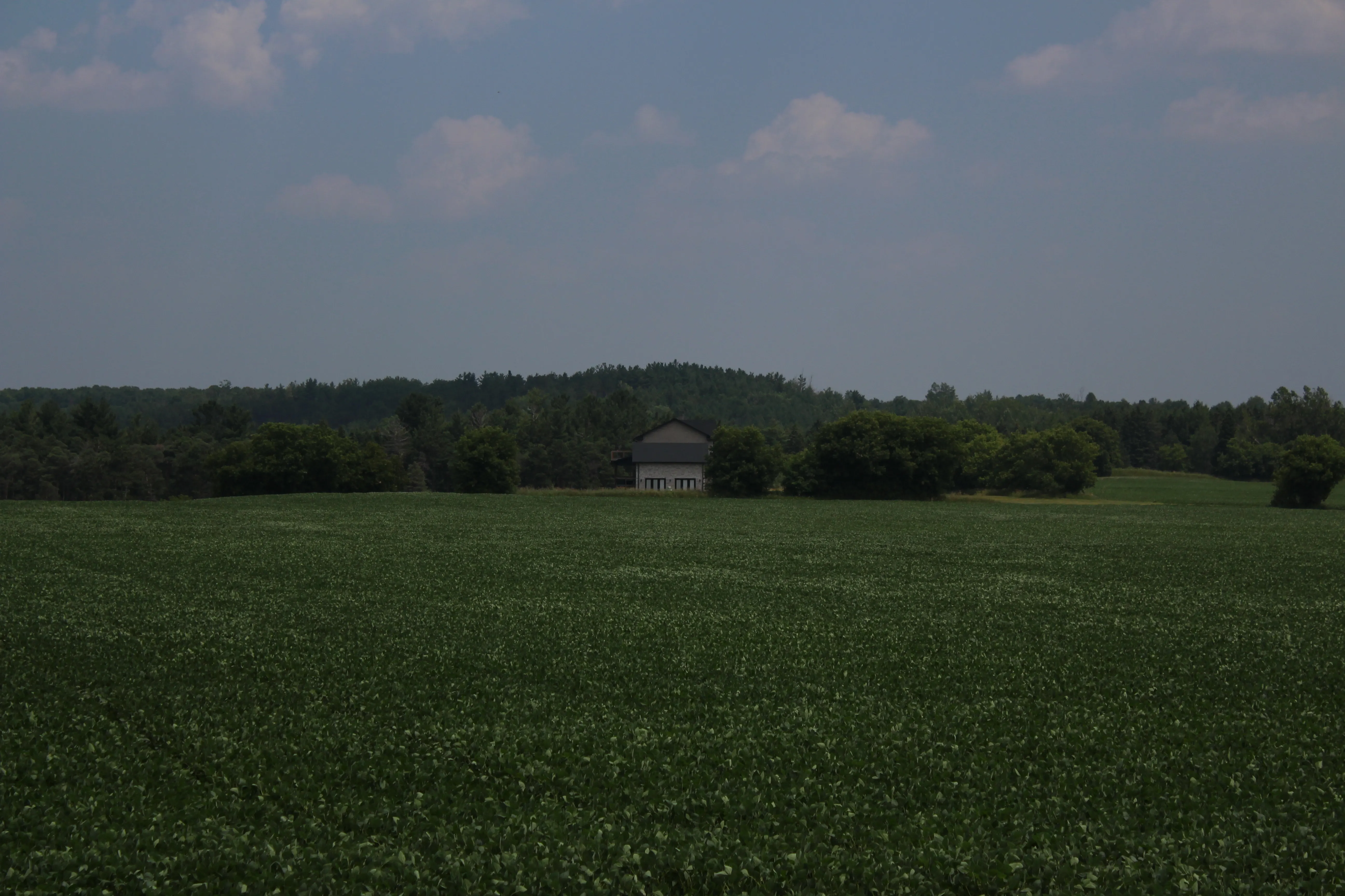 A distant farmhouse roof across a wide green field, treeline behind under a soft summer sky.