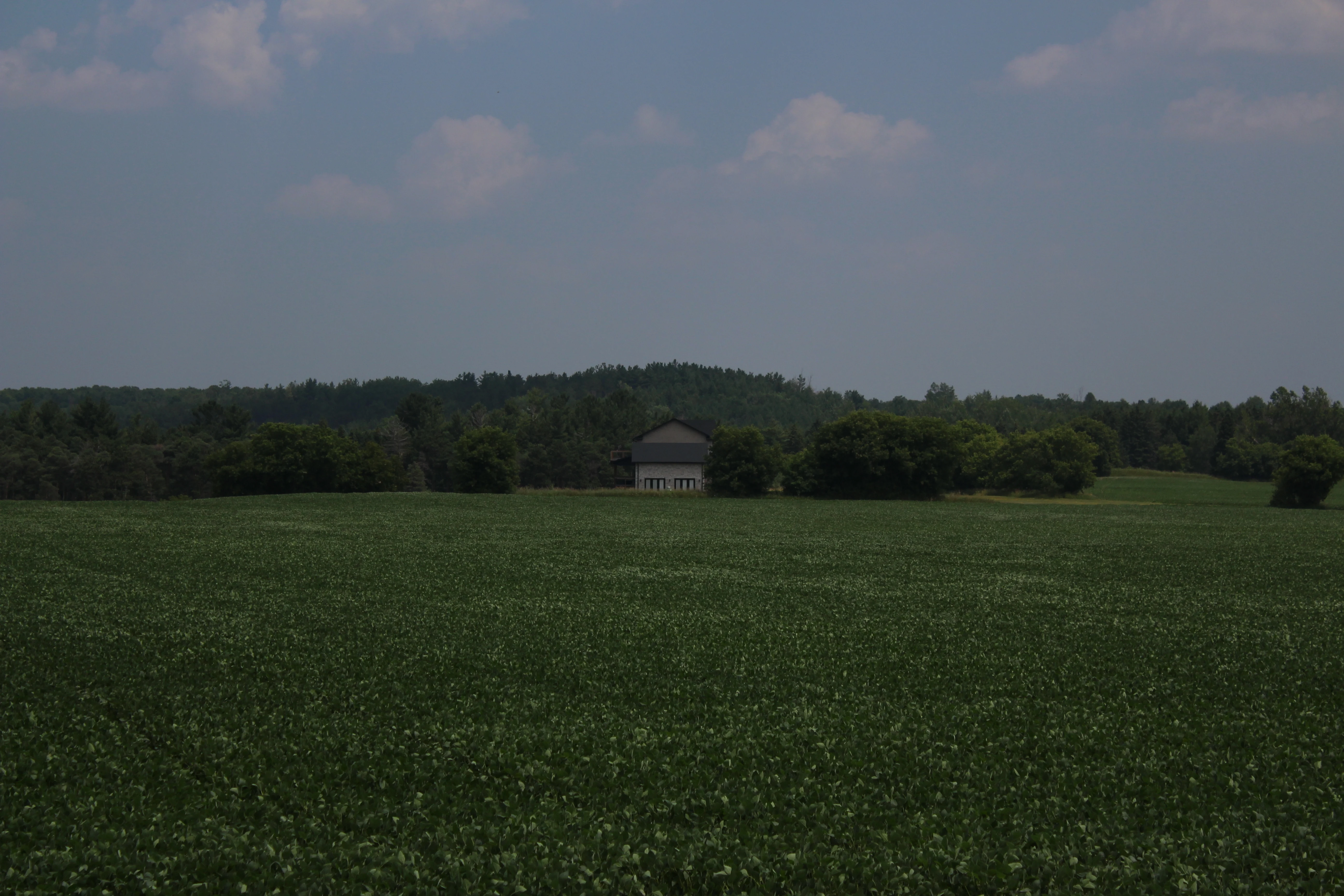 A distant farmhouse roof across a wide green field, treeline behind under a soft summer sky.